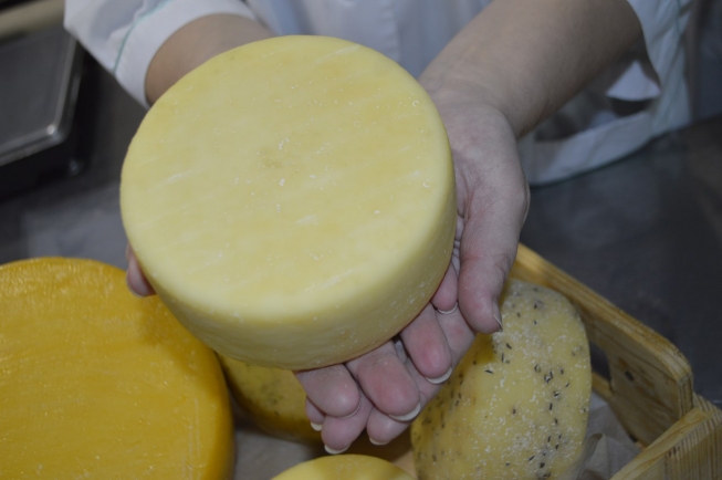 Вкусное ремесло, или итальянский сыр в российской глубинке