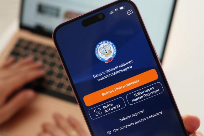 Самозанятые стали главными получателями господдержки