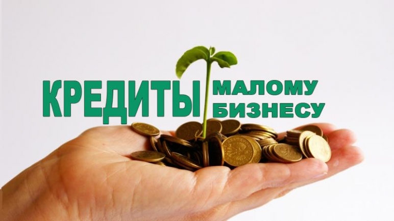 Малый и средний бизнес получили 121,5 млрд руб. льготных кредитов за 3 года